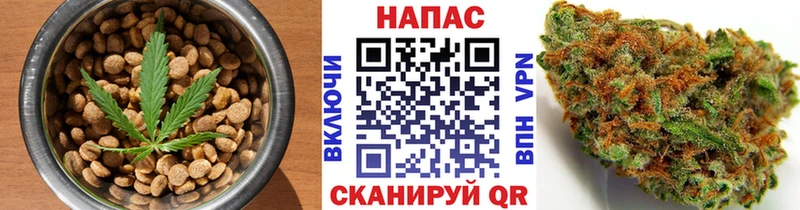 Canna-Cookies марихуана  цены   Долгопрудный 