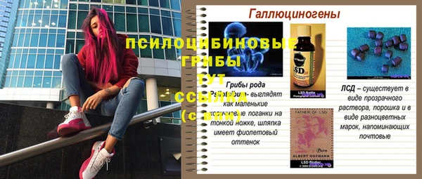 спиды Елабуга