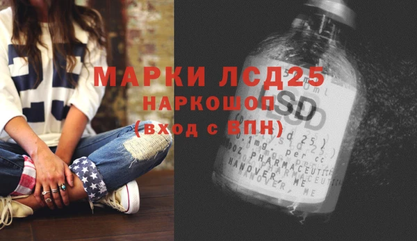 спиды Елизово