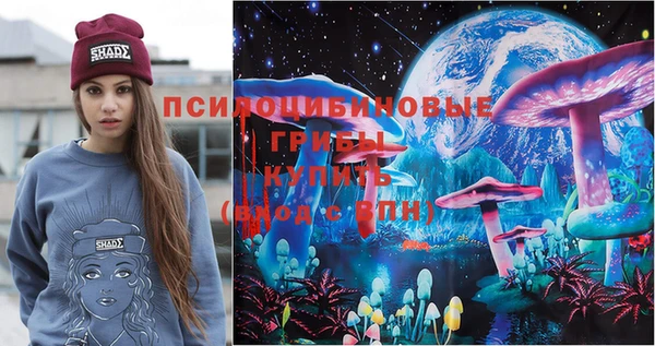 спиды Елизово