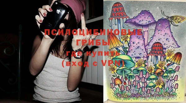 спиды Елизово