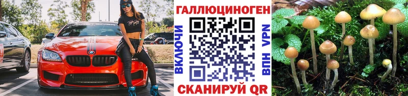 Псилоцибиновые грибы Magic Shrooms Долгопрудный